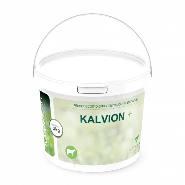 KALVION + 3 KG